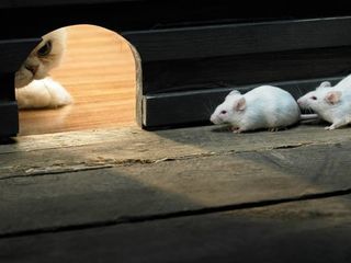敵不動，我不動，想要有行情請耐心等待這個時間點的文章圖片
