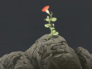 對等關稅延後為何是90天？將迎來逆轉勝的關鍵的文章圖片